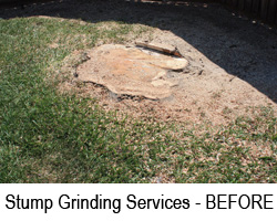 Stump Grinding Mandeville